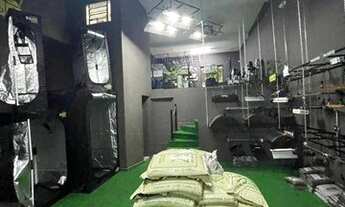 Imagem 4: Loja para alugar, 250 m² por R$ 5.500,00/mês - Vila Leopoldina - São Paulo/SP