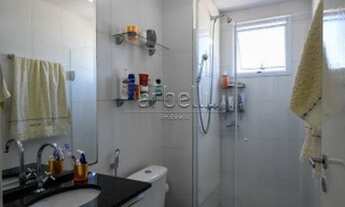 Imagem 4: SãO PAULO - Padrão - Rio Pequeno