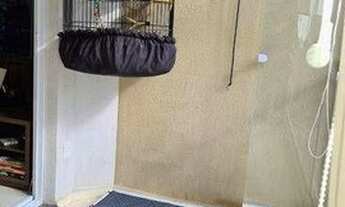 Imagem 5: Apartamento à venda - Jardim Celeste - São Paulo/SP