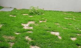 Imagem 4: Apartamento à venda na Vila Esperança