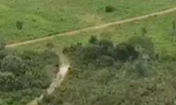 Imagem 4: Fazenda 2.350 ALQ, Paranã - TO