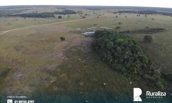 Imagem 5: Fazenda bem estruturada para grandes investidores com 4.781,92 hectares no Vale do Araguai