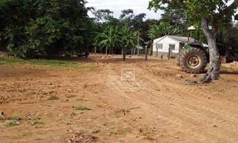 Imagem 3: Fazenda Santa Rita Trielato MT