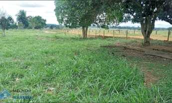 Imagem 4: Sítio 82 Alqueires Machadinho D`Oeste