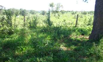 Imagem 4: Fazenda de 100 hectares em Terenos - MS