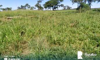Imagem 7: Fazenda com dupla aptidão e 2.812,04 hectares na região de Itacajá - TO