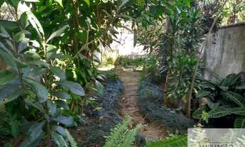 Imagem 2: Casa sobrado 3 dormitorios 2 vagas, Com pomar nos fundos