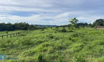 Imagem: Sítio 40 alqueires Região Jorge Teixeira