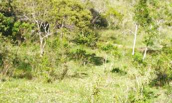 Imagem: Terreno 18 Hectares Desterro de Entre Rios