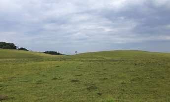 Imagem 2: CHÁCARAS RINCÃO DAS FLORES - CAXIAS - PRÓXIMO ROTA DO SOL