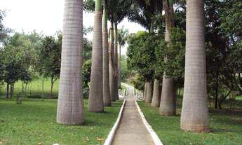 Imagem 3: Terreno de Condomínio, Colinas do Piracicaba (Ártemis), Piracicaba - R$ 290 mil, Cod: 264