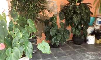 Imagem 3: Casa / Sobrado em Vila Sônia - São Paulo