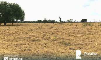 Imagem 7: Fazenda com dupla aptidão no Vale do Araguaia - TO