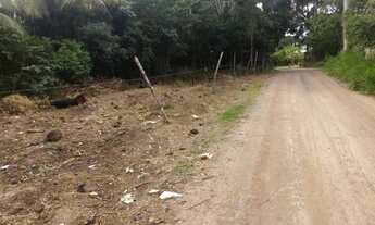 Imagem 7: Terreno para Venda em Camaçari, Centro