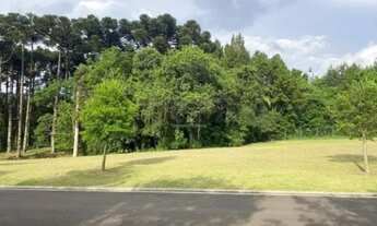 Imagem 3: Terreno em Gravatá com vista para cidade 14 hectares