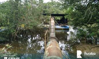 Imagem 16: Fazenda de projeto irrigado por controle de lençol freático na Lagoa da Confunsão - TO