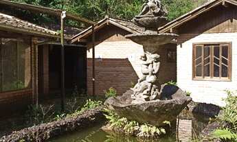 Imagem 6: Terreno Rural com Benfeitorias