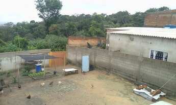 Imagem 2: Lote murado com 200 m2 no Bairro Colonial