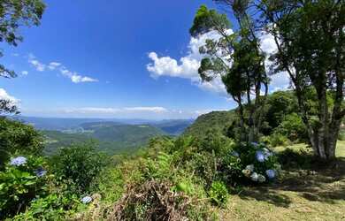Imagem 2: Casa de 4 quartos com vista incrível em Canela