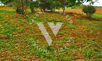 Imagem 5: Chácara à venda em Taquaral de Goiás