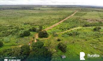 Imagem 5: Fazenda para exploração agropecuária situada em Santa Maria do Tocantins-TO