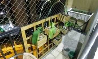 Imagem 3: Apartamento para Venda em São Paulo, Jardim Celeste, 2 dormitórios, 1 banheiro, 1 vaga