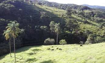 Imagem 3: Fazenda de 1.200 ha na região de Taquaraçu de Minas, Jaboticatubas (Temos varias opções)