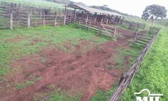 Imagem 3: Fazenda em Araguacema-TO. > 300 Alq. (1.452 Há