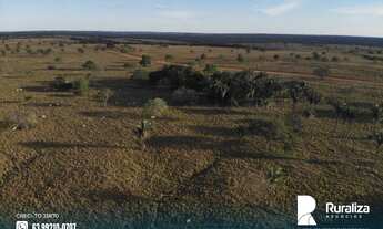Imagem 4: Fazenda bem estruturada para grandes investidores com 4.781,92 hectares no Vale do Araguai