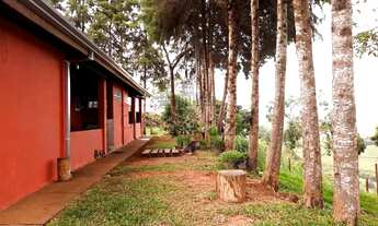 Imagem 4: Fazenda/Sítio/Chácara para venda tem 3400 metros quadrados com 3 quartos