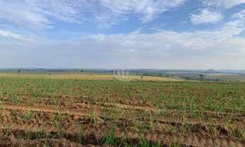 Imagem 2: RIBEIRÃO BONITO - RURAL - SP-255