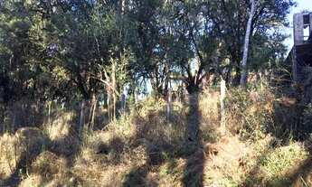 Imagem 4: Terreno na Barragem do Salto em São Francisco de Paula!