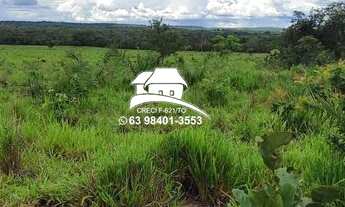 Imagem 3: Fazenda para Venda em Pedro Afonso, Região altamente produtiva