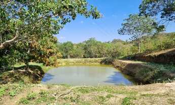 Imagem 3: Excelente Chácara 4 hectares