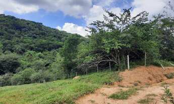 Imagem 2: Terreno em Tavares com 13,69 hectares