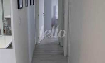 Imagem 3: São Paulo - Apartamento Padrão - Pari