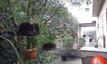 Imagem 3: São Paulo - Casa Padrão - Vila Carrão