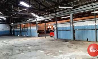 Imagem 3: São Paulo - Galpão/Depósito/Armazém - Vila Prudente