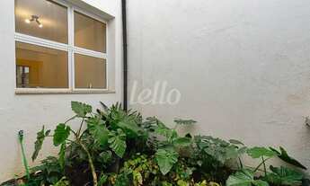 Imagem 7: São Paulo - Casa Padrão - Vila Nova Conceição