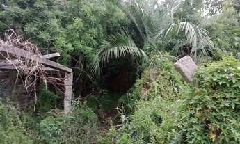 Imagem 2: Casa para venda tem 100 metros quadrados com 2 quartos em Areal - Pelotas - RS