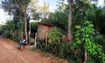 Imagem 4: Sítio Chácara com venda por R$150.000