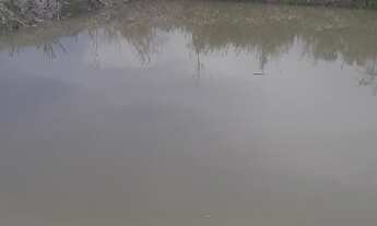 Imagem 3: Vendo ou troco 28 hectares de terra,com açude e cada em construcao