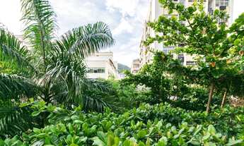 Imagem 6: R. Paissandu, 179 - Flamengo RJ