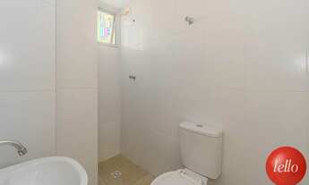 Imagem 5: São Paulo - Apartamento Padrão - Vila Mascote