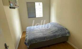 Imagem 4: São Paulo - Apartamento Padrão - Belém