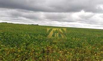 Imagem 3: Fazenda à venda, 144 Alqueires por R$ 20.000.000 - Centro - Paraíso do Tocantins/TO