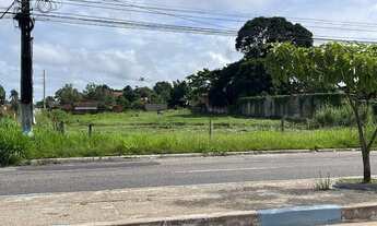 Imagem: Lote na barão do rio branco 50x150 de esquina