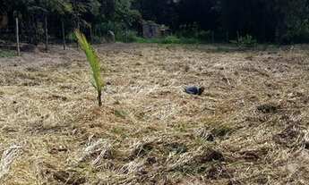 Imagem 2: Terreno Terreno / lote com venda por R$250