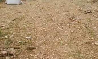 Imagem: Terreno Fundo com a Avenida Brasil, bairro