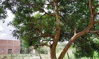 Imagem 3: Vende _se Terreno / lote com venda por R$25.000